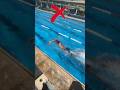 How To Swim Freestyle Smoothly Front Crawl Technique Without Splashing