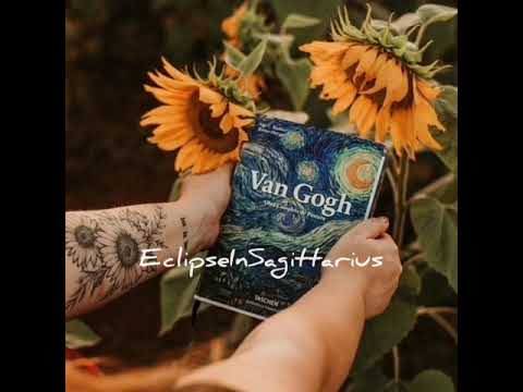 Mariana Froes - Girassois de Van Gogh