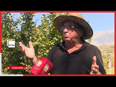 Përkushtimi ndaj pemëtarisë, në Topullaraj të Gjirokastrës lulëzon ferma e Vladimir Dhramit