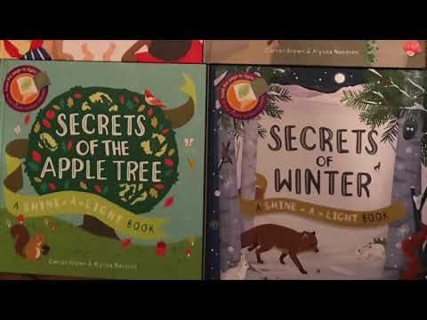 The Magic of Shine-A-Light Books