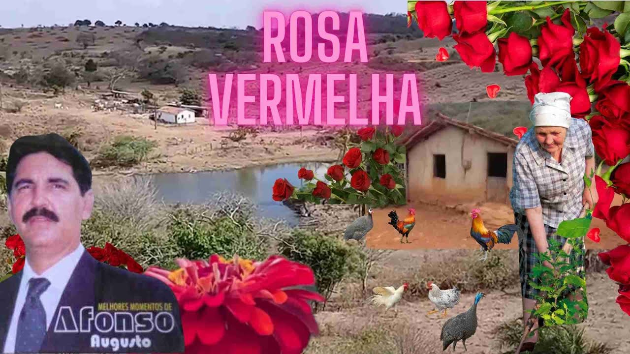 ROSA VERMELHA - O MAIR CLÁSSICO DA ASSEMBLEIA DE DEUS | MUSEUMPC.COM.BR