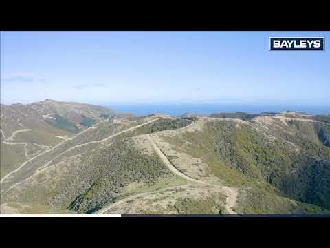 Southernthread Road, Brooklyn, Wellington