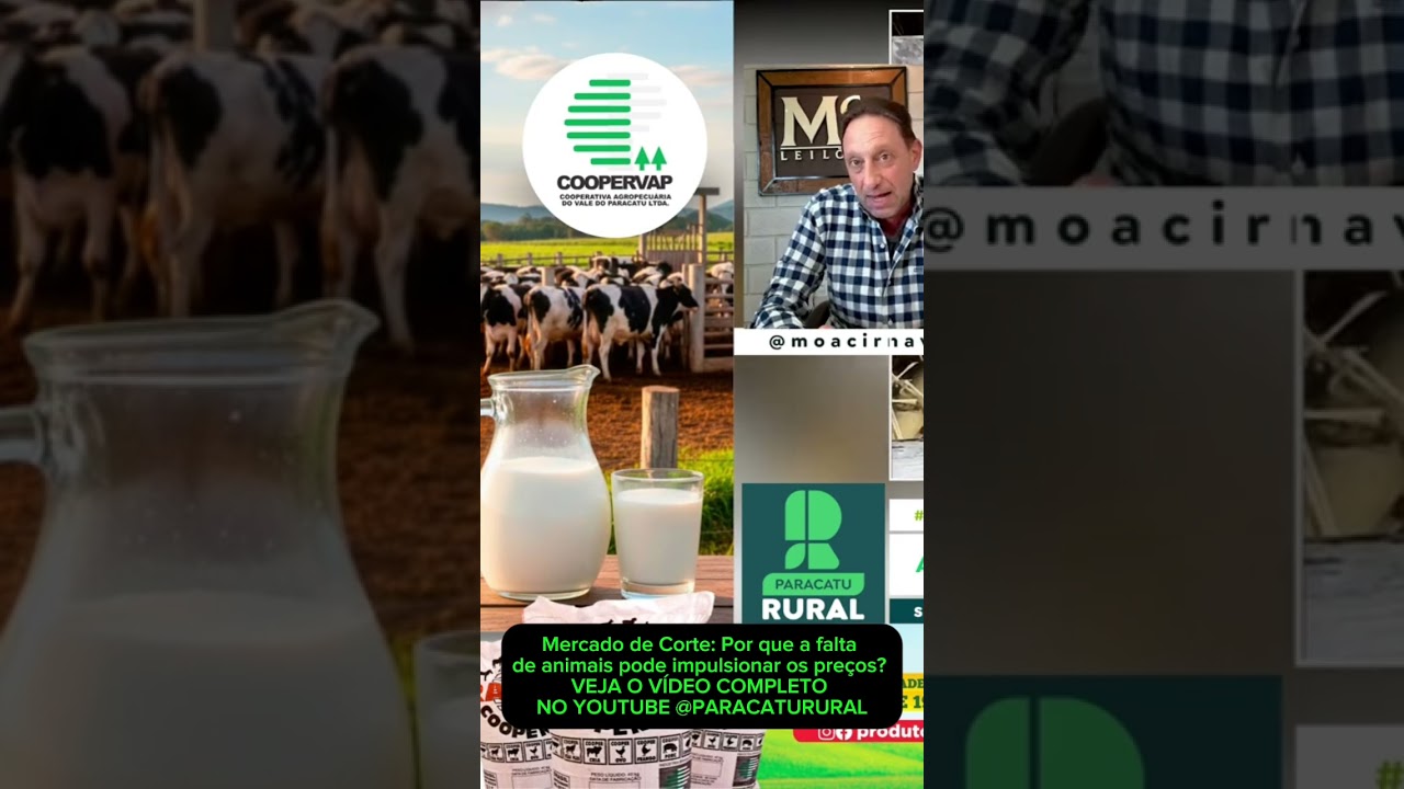 Mercado de Corte: Por que a falta de animais pode impulsionar os preços?