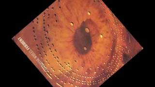 Catherine Wheel - Flower to Hide (Subtitulada)