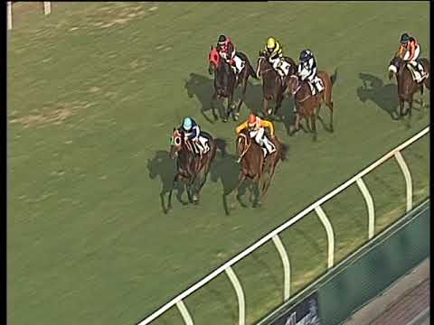 Galoppo 13/02/2018 - 1ª corsa