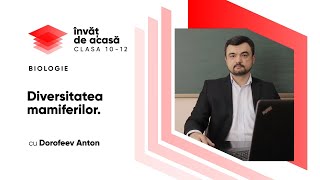  "Diversitatea mamiferilor"