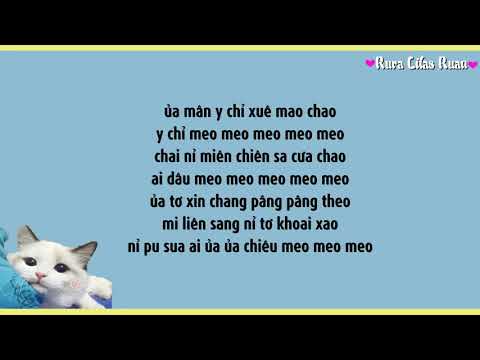 [PHIÊN ÂM TIẾNG VIỆT] HỌC TIẾNG MÈO KÊU(学猫叫) - Tiểu Phan Phan ft Tiểu Phong Phong
