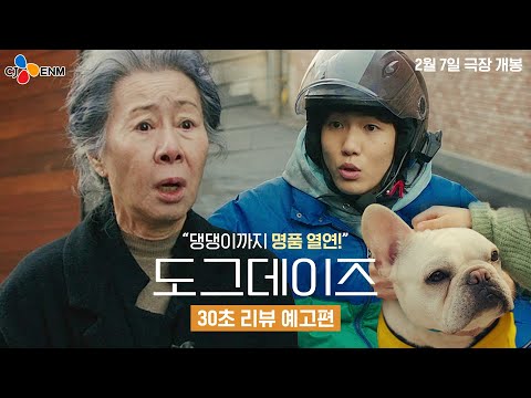 댕댕이까지 연기 천재? [도그데이즈] 30초 리뷰 예고편🐶💘