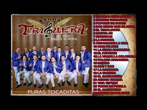 BANDA TRIGUERA PURAS DE VIENTO EN VIVO (2019)