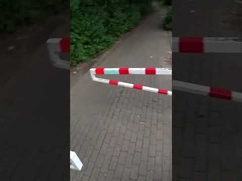 DAS ist eine Frechheit😡 Monte regt sich auf😂 #montanablack #shorts