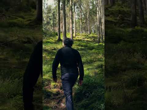 ENLUMINURES III (cascades et sapins)