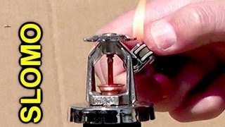 [問卦] 大樓灑水頭到底有沒有用啊???