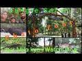 Jim Corbett National Park Phato Zone Jungle Safari Phatozone Phatozone Jimcorbettnationalpark