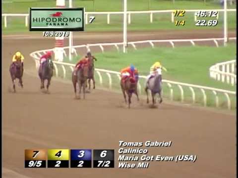 7MA CARRERA DEL DOMINGO 9 DE OCTUBRE DEL 2016