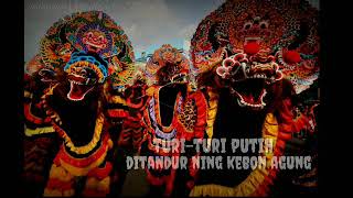 Download lagu NEW! story Wa versi jaranan turi-turi putih mp3 Download lagu NEW! story Wa versi jaranan turi-turi putih mp3