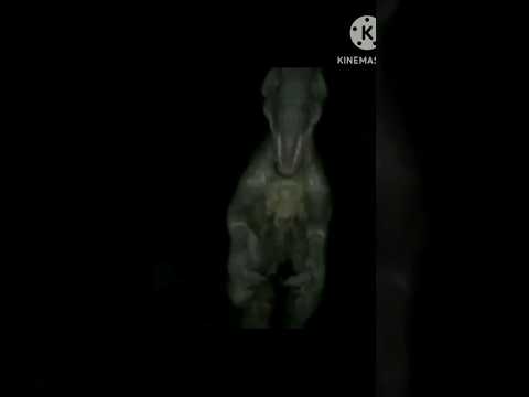The allosaurus incident(VHS Tape analog horror)#jurassicworld #like #shorts
