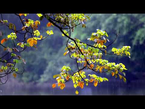 Drift | Deep, melodic house music and a calm atmosphere 2026 | Dreamy vibes