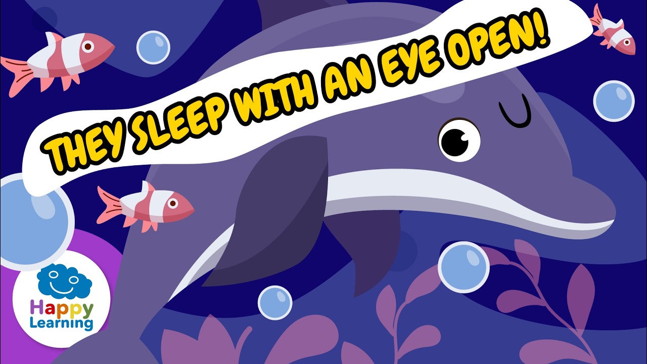 🐬 DOLPHINS. Their brain NEVER rests! | Educational Videos for Children | @HappyLearningEN