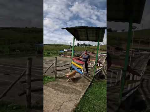 LO QUE VEMOS EN PRIMAVERA BOLIVAR VALLE