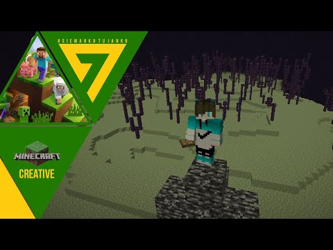 Minecraft Creative - Saving a Fox and Finding the End!