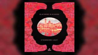 Blackbird Blackbird -  There Is Nowhere (DWNTWN Remix)