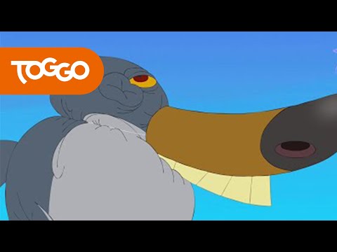 Zig und Sharko 😆 Zick-Nase 😆 Volledige aflevering in HD