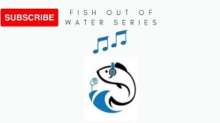 Masters Of Reality - The Candy Song Reaction (FOOW)