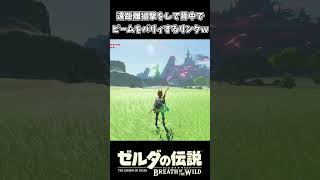 背中でガーディアンのビームをパリィするリンクｗｗ【ゼルダの伝説 ブレス オブ ザ ワイルド】