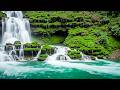 Relaxing Music 🌿 Ease Anxiety, Quiet the Mind & Restore Your Nervous System DEFAULT Thumbnail