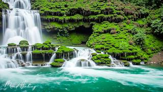 Relaxing Music 🌿 Ease Anxiety, Quiet the Mind & Restore Your Nervous System MQDEFAULT Thumbnail