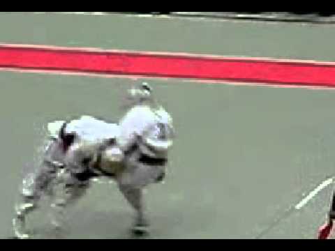 Japanese Martial Arts Technique　タックルスロー.avi