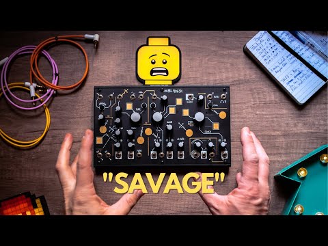 Make Noise Strega Module 2021 - Present - Black image 4