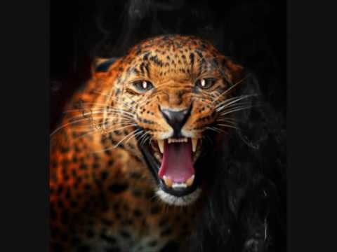 Cold play   something just like this   remix Dirty Nano