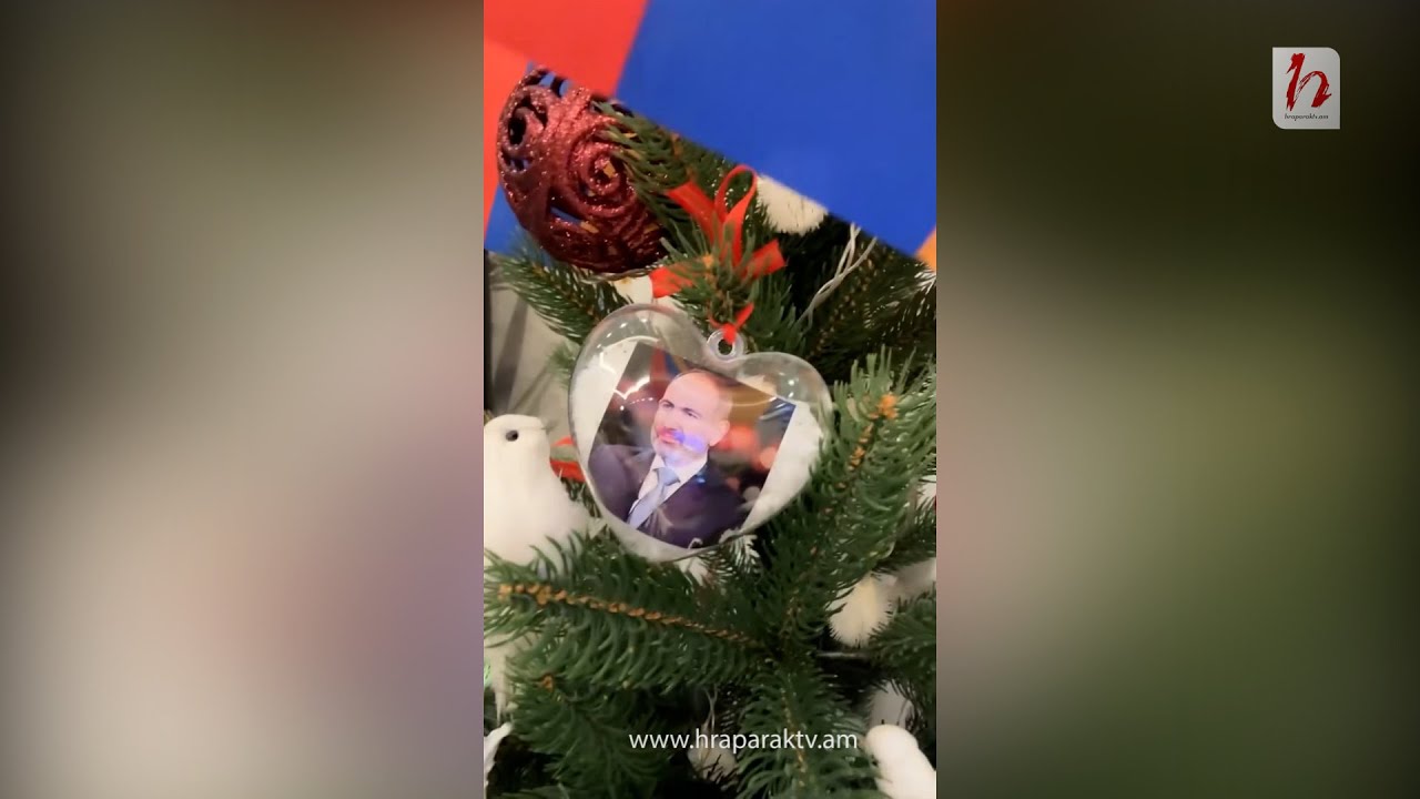 Տոնածառ՝ զարդարված Փաշինյանի ու ՔՊ–ականների «դեմքերով»