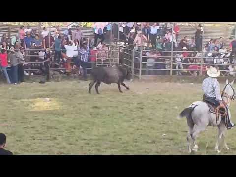 SAN PEDRO DE LOVAGO CH FIESTAS PATRONALES 2026