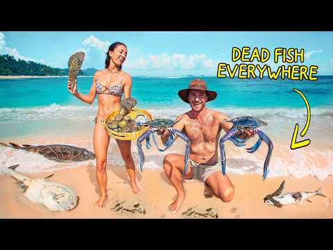 7 Days Exploring Australia’s Wild Coast (MASS FISH DIE-OFF SPECIAL)