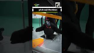Bengaluru के Startup का कमाल: Dogs और AI से होगी Cancer की शुरुआती पहचान #NextGenBharat
