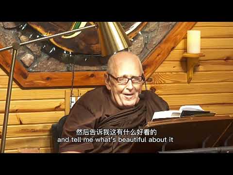 Satipaṭṭhāna Sutta -Chinese Subtitles- (MN 10) Foundations of Mindfulness