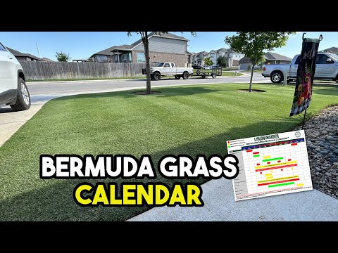 5 Steps to Wake Up Your Bermuda Lawn This Spring (+ Free Lawn Calendar)