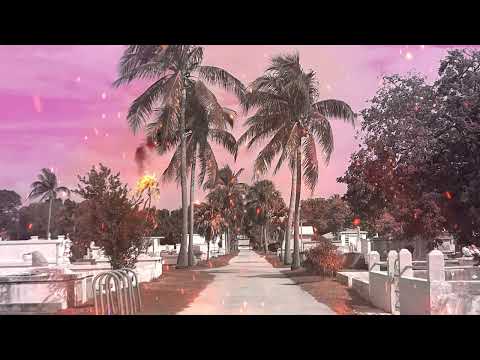 State Of Being - The Dopamines