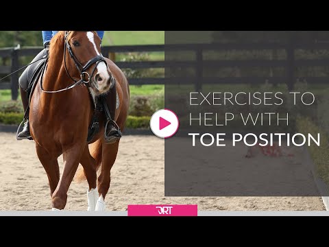 Exercises To Help With Toe Position In Dressage