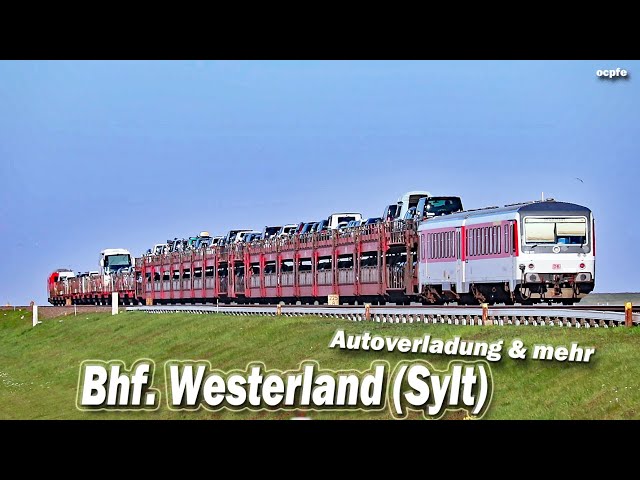 Video Pronunciation of Sylt in English Video Pronunciation of Sylt in English