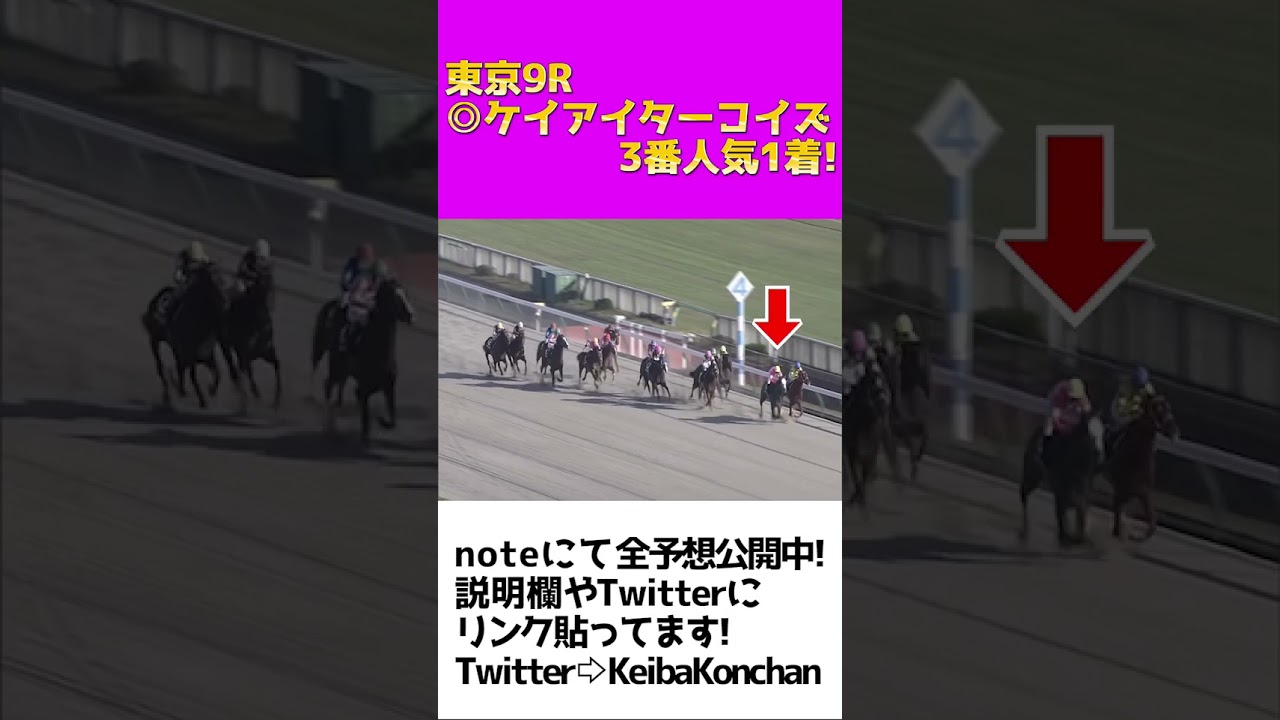 東京9R◎ケイアイターコイズ3人気1着で的中🎯