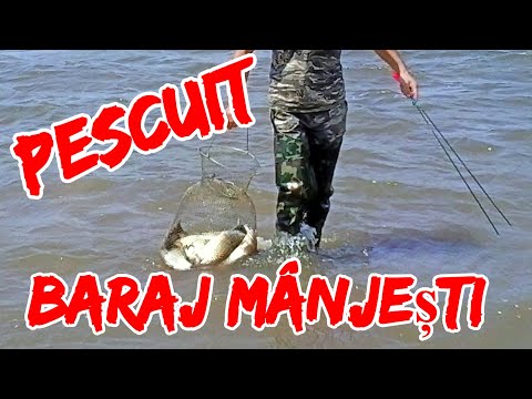 Pescuit la Crap baraj Manjesti Vaslui prezentare video