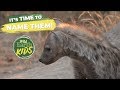 The Djuma Hyena Clan Cubs Are Getting Their Names