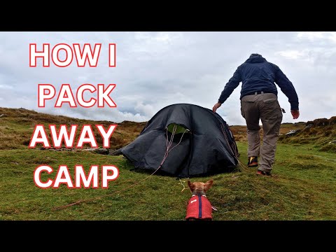 Smontare l'accampamento sotto la pioggia | Routine mattutina per il campeggio selvaggio con i cani