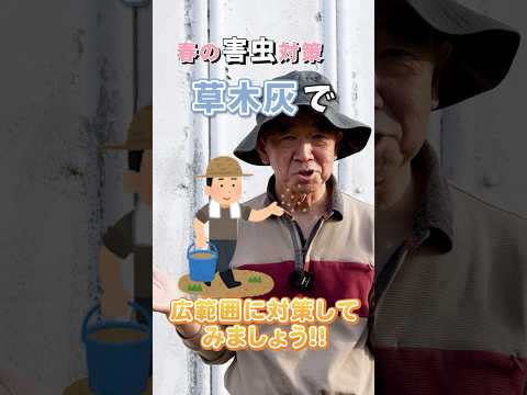 猫から菜園を守るには？庭に害虫を寄せ付けないようにするには、次の 7 つの自然なヒントを試してください。  庭園