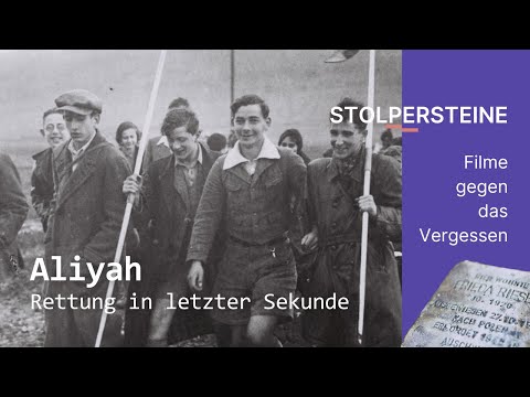 Rettung in letzter Sekunde