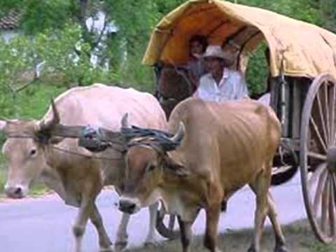 La carreta campesina - José Magno Soler y Reinaldo Sanabria