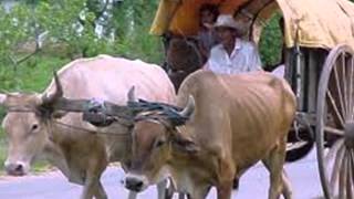 Preview de La carreta campesina